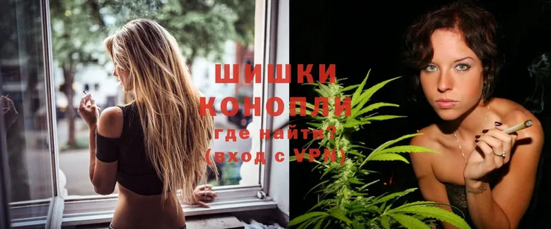 Конопля SATIVA & INDICA  сколько стоит  Заринск 